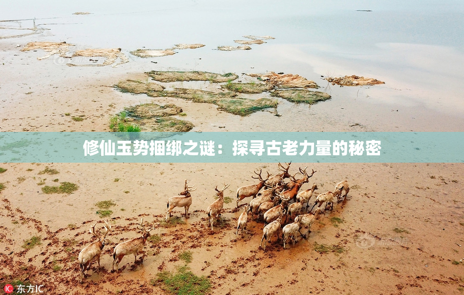 修仙玉势捆绑之谜：探寻古老力量的秘密