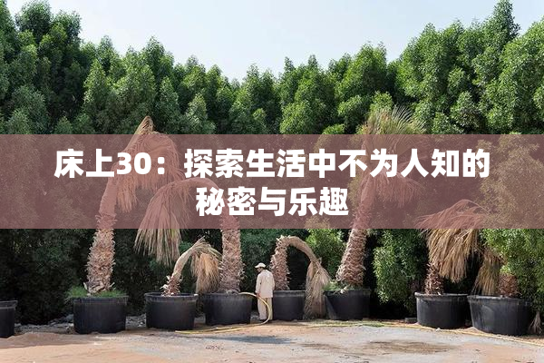 床上30：探索生活中不为人知的秘密与乐趣