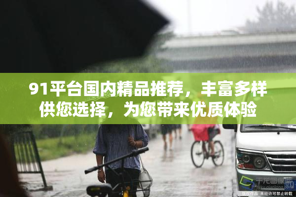91平台国内精品推荐，丰富多样供您选择，为您带来优质体验
