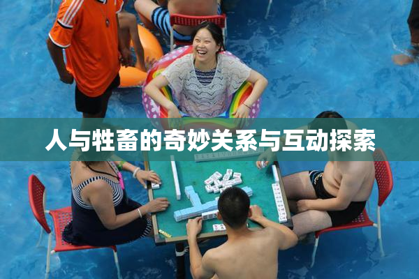 人与牲畜的奇妙关系与互动探索