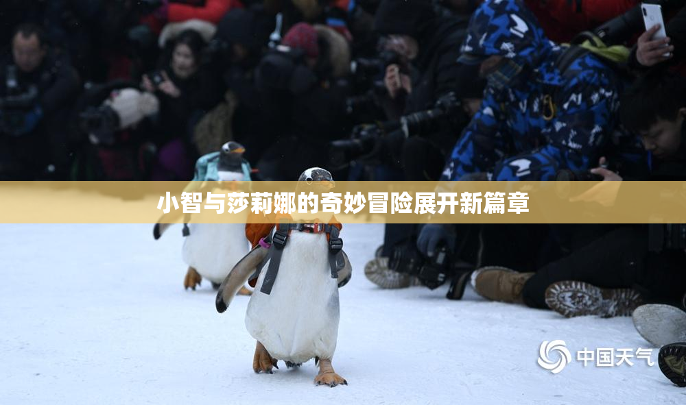 小智与莎莉娜的奇妙冒险展开新篇章