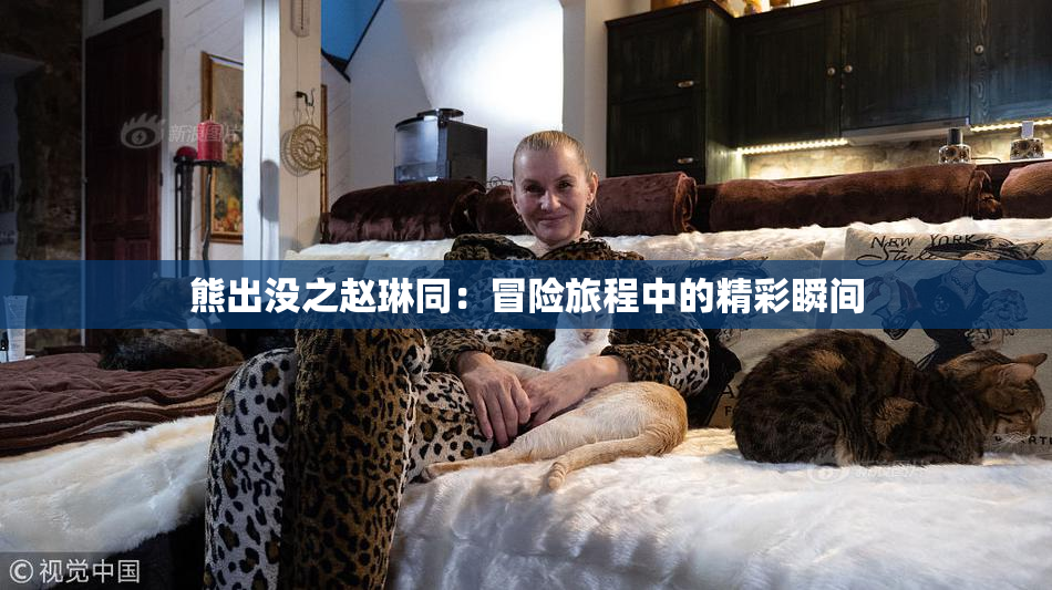 熊出没之赵琳同：冒险旅程中的精彩瞬间