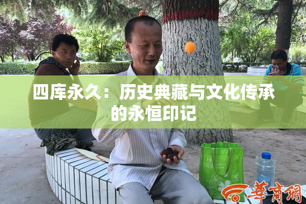 四库永久：历史典藏与文化传承的永恒印记