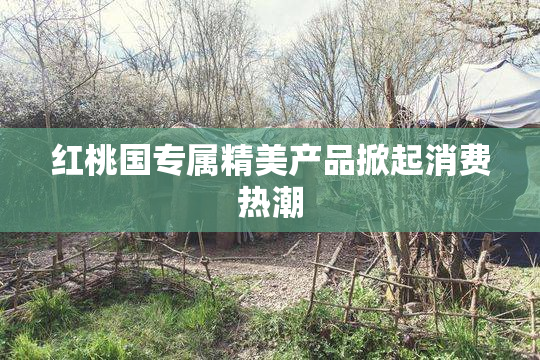 红桃国专属精美产品掀起消费热潮