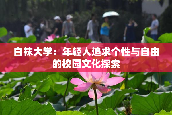 白袜大学：年轻人追求个性与自由的校园文化探索