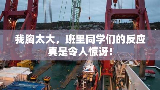 我胸太大，班里同学们的反应真是令人惊讶！