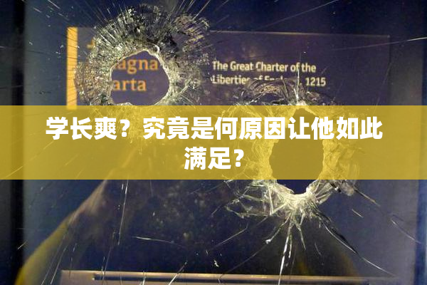 学长爽？究竟是何原因让他如此满足？