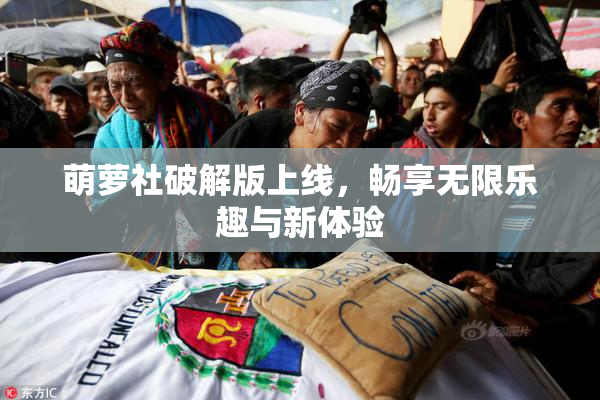 萌萝社破解版上线，畅享无限乐趣与新体验