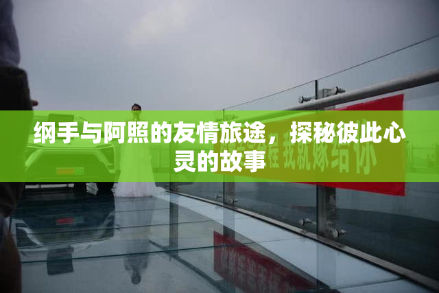 纲手与阿照的友情旅途，探秘彼此心灵的故事
