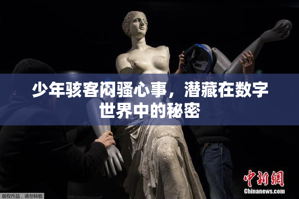 少年骇客闷骚心事，潜藏在数字世界中的秘密