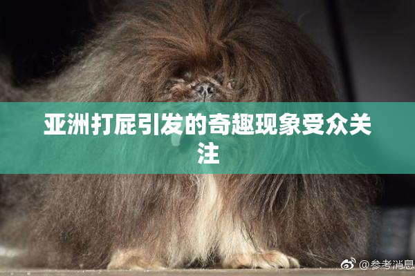 亚洲打屁引发的奇趣现象受众关注