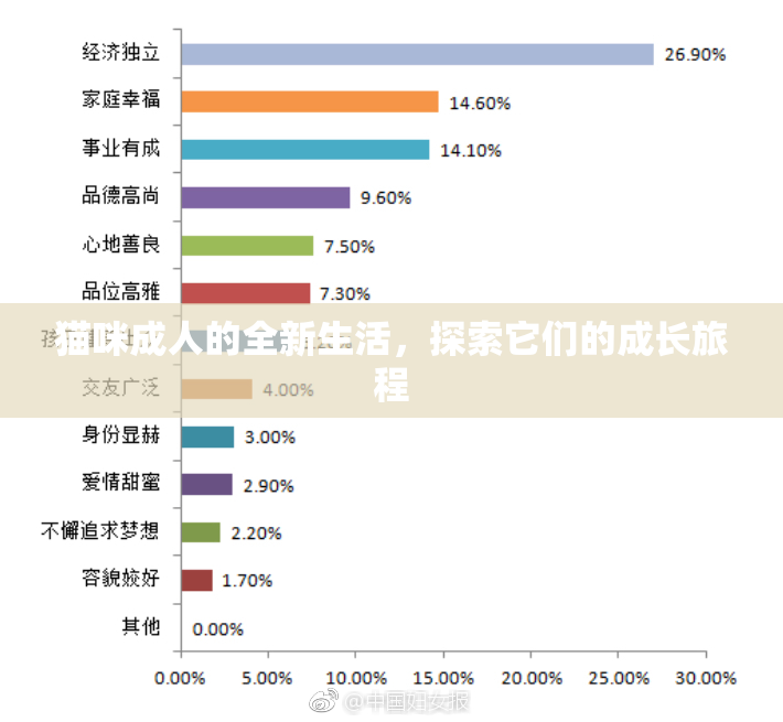 猫咪成人的全新生活，探索它们的成长旅程