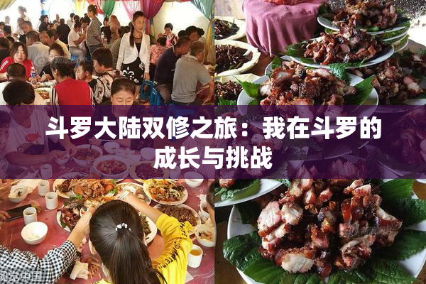 斗罗大陆双修之旅：我在斗罗的成长与挑战