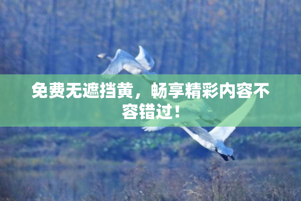 免费无遮挡黄，畅享精彩内容不容错过！