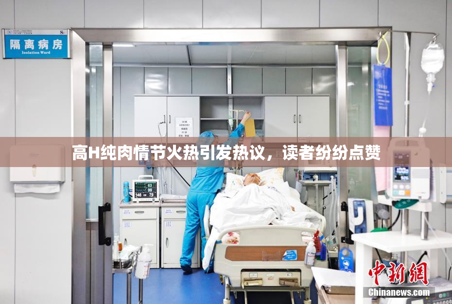 高H纯肉情节火热引发热议，读者纷纷点赞