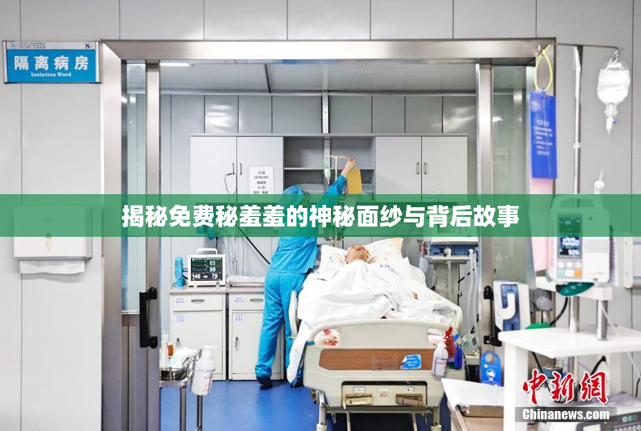 揭秘免费秘羞羞的神秘面纱与背后故事