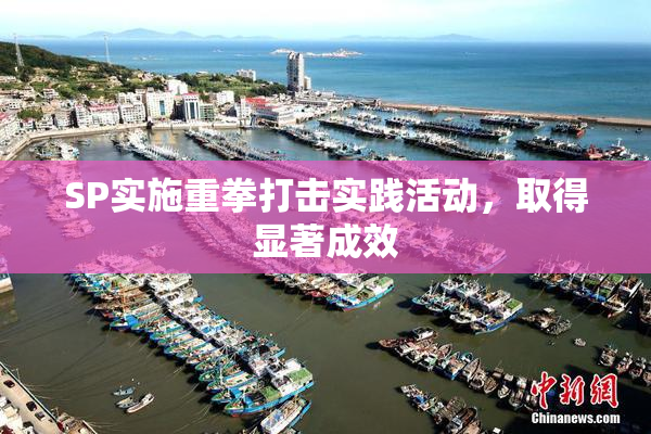 SP实施重拳打击实践活动，取得显著成效
