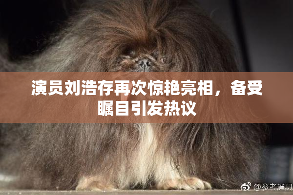 演员刘浩存再次惊艳亮相，备受瞩目引发热议