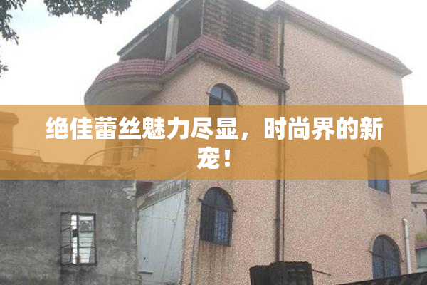 绝佳蕾丝魅力尽显，时尚界的新宠！