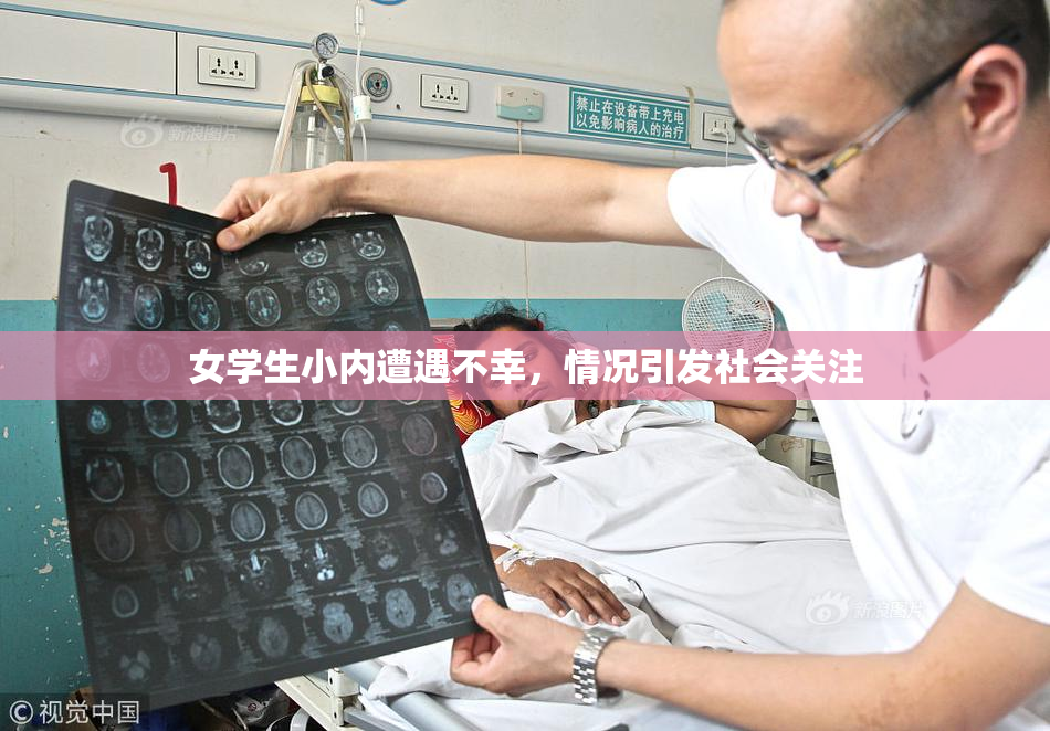 女学生小内遭遇不幸，情况引发社会关注