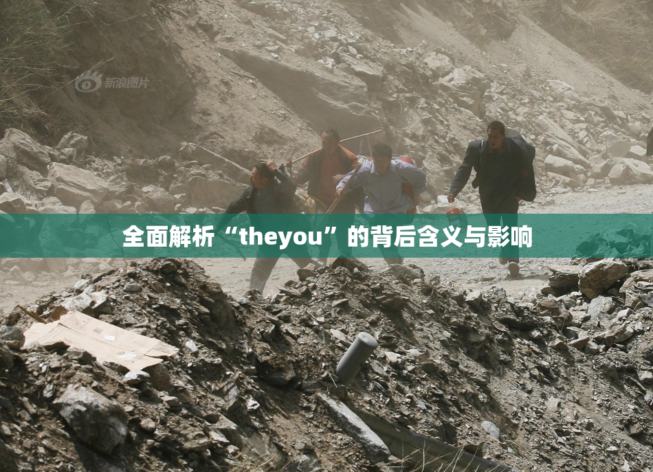 全面解析“theyou”的背后含义与影响