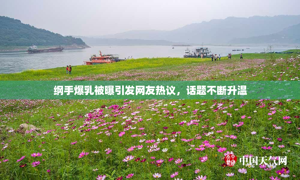 纲手爆乳被曝引发网友热议，话题不断升温