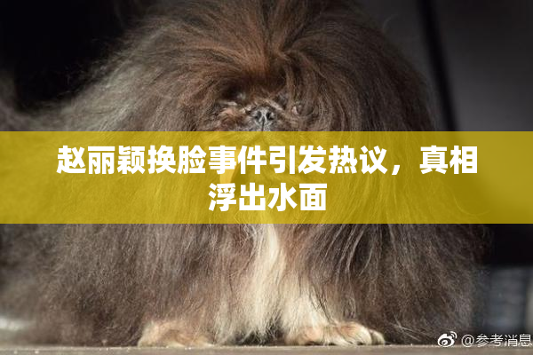 赵丽颖换脸事件引发热议，真相浮出水面