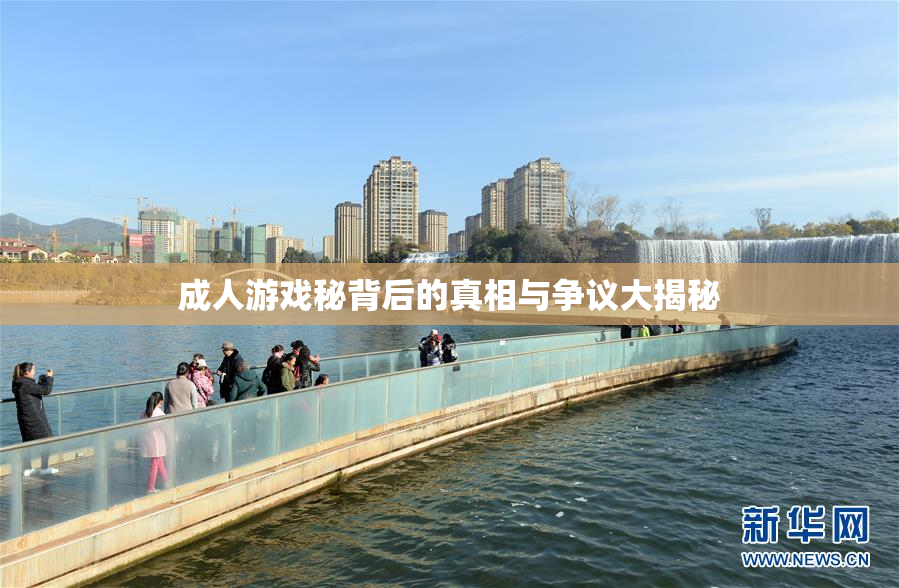 成人游戏秘背后的真相与争议大揭秘