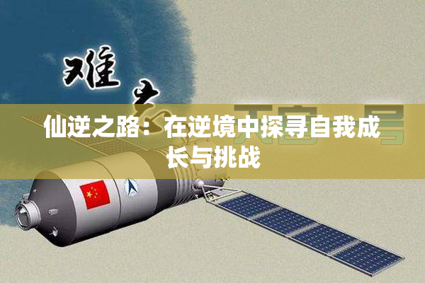 仙逆之路：在逆境中探寻自我成长与挑战