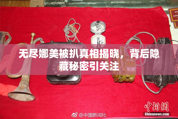 无尽娜美被扒真相揭晓，背后隐藏秘密引关注