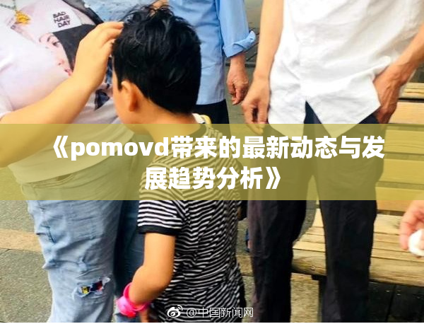 《pomovd带来的最新动态与发展趋势分析》