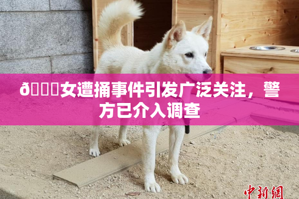 🔞女遭捅事件引发广泛关注，警方已介入调查