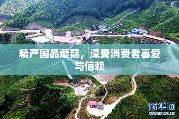 精产国品蘑菇，深受消费者喜爱与信赖