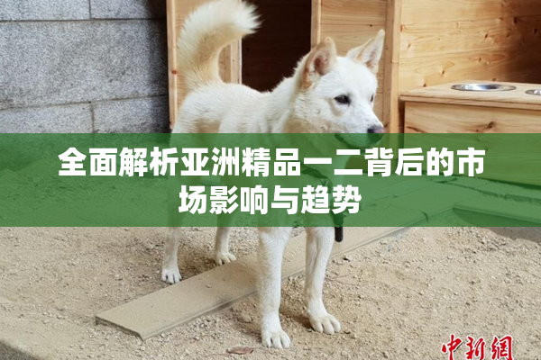 全面解析亚洲精品一二背后的市场影响与趋势