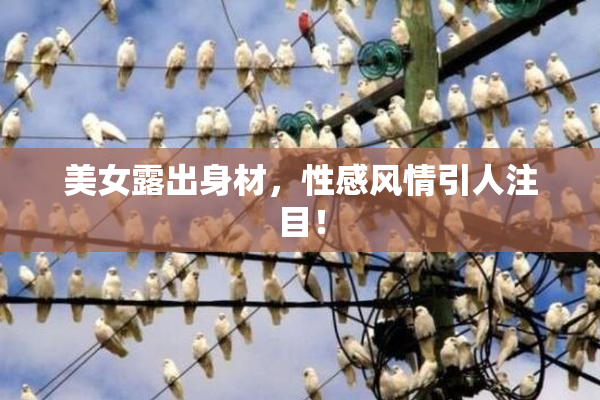 美女露出身材，性感风情引人注目！