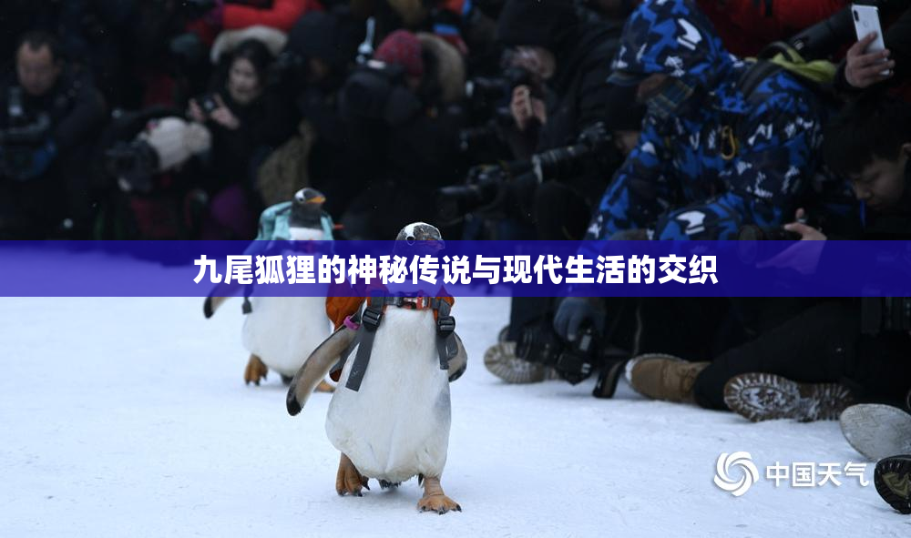九尾狐狸的神秘传说与现代生活的交织