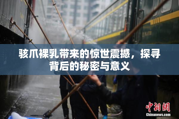 骇爪裸乳带来的惊世震撼，探寻背后的秘密与意义