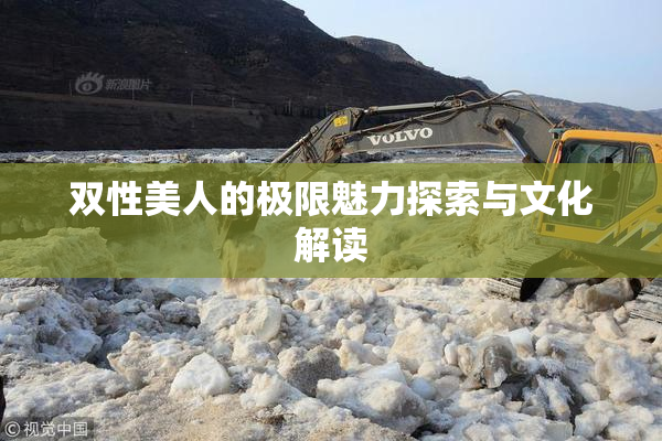 双性美人的极限魅力探索与文化解读