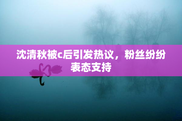 沈清秋被c后引发热议，粉丝纷纷表态支持