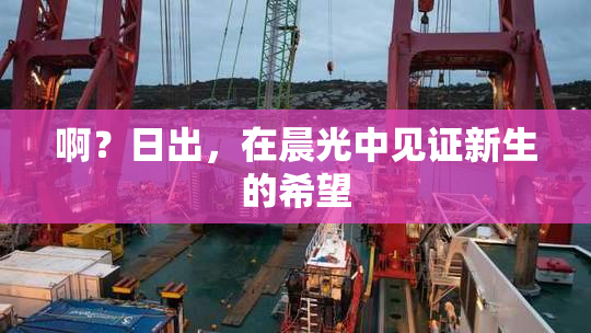 啊？日出，在晨光中见证新生的希望