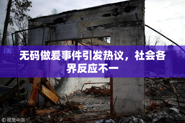 无码做爰事件引发热议，社会各界反应不一