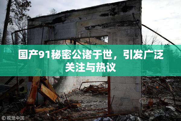 国产91秘密公诸于世，引发广泛关注与热议