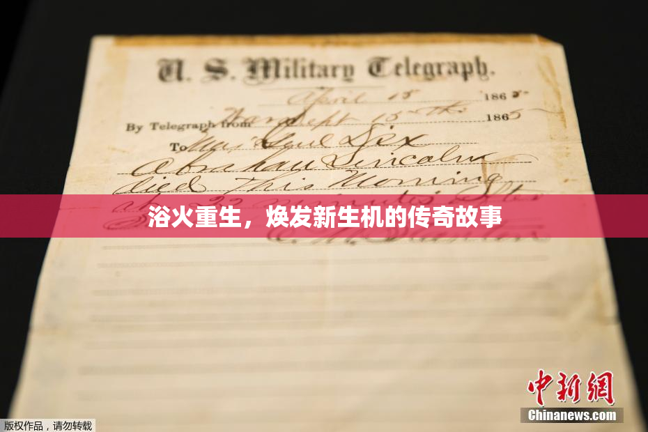 浴火重生，焕发新生机的传奇故事