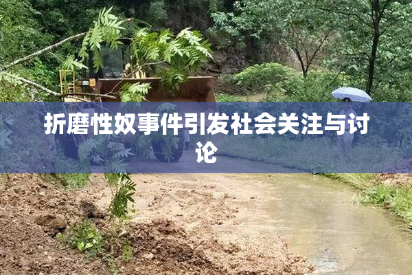 折磨性奴事件引发社会关注与讨论