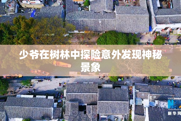 少爷在树林中探险意外发现神秘景象