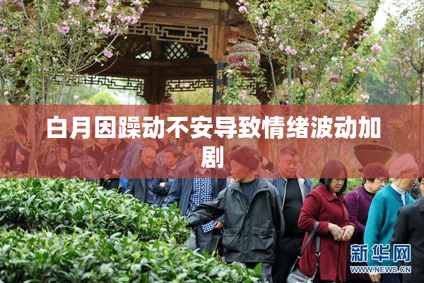 白月因躁动不安导致情绪波动加剧