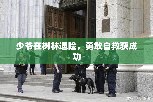 少爷在树林遇险，勇敢自救获成功