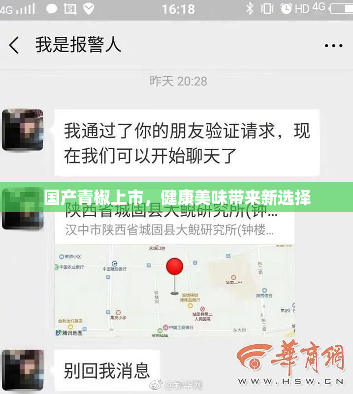 国产青椒上市，健康美味带来新选择