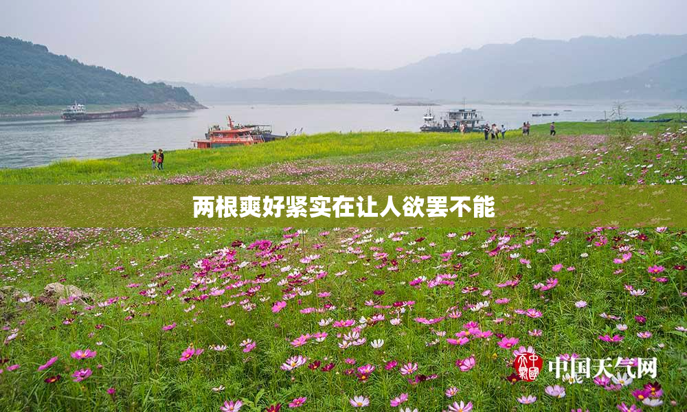 两根爽好紧实在让人欲罢不能