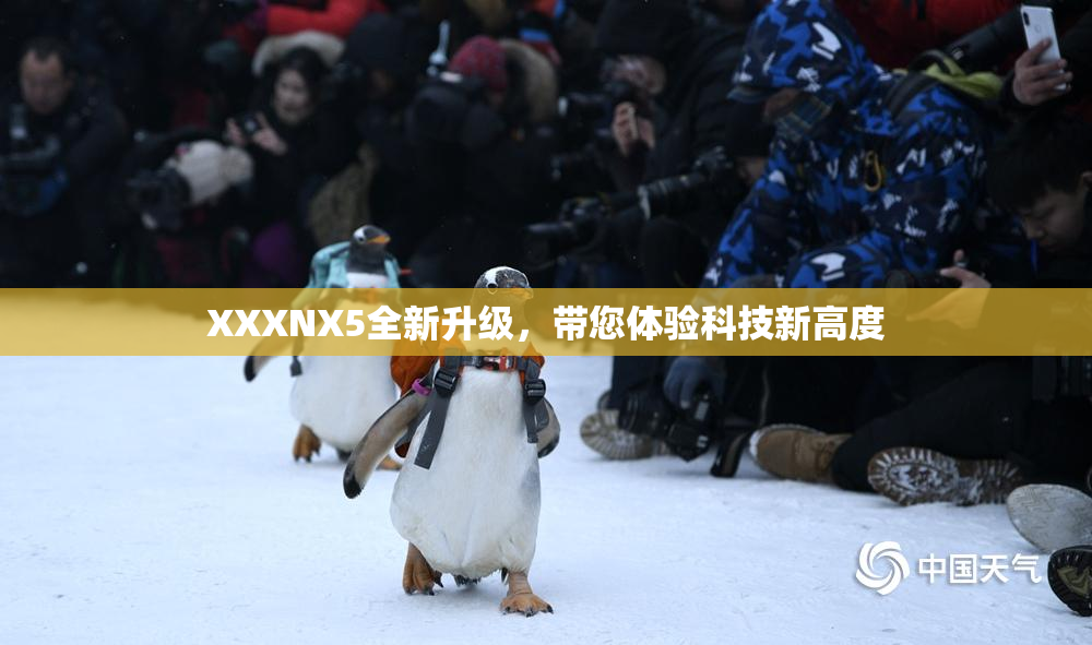 XXXNX5全新升级，带您体验科技新高度